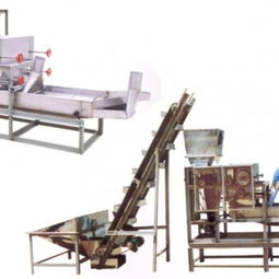 安丘市達安花生機械廠 花生食品加工機械長期供應與專業安裝服務